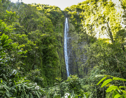 Product Waimoku Falls & Pipiwai Trail