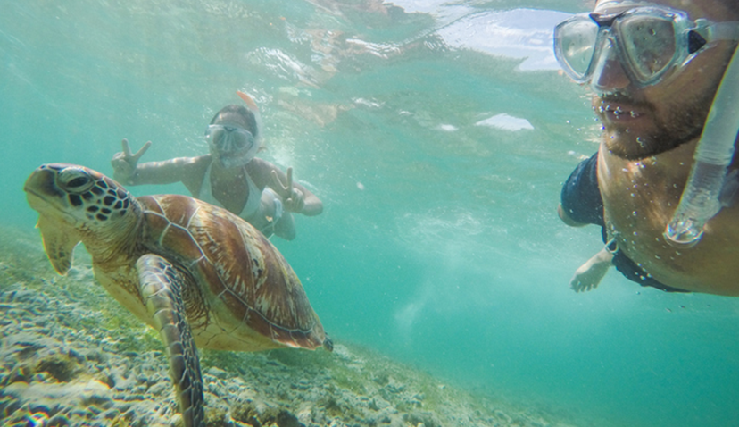 Product Kayak and Snorkel With Turtles