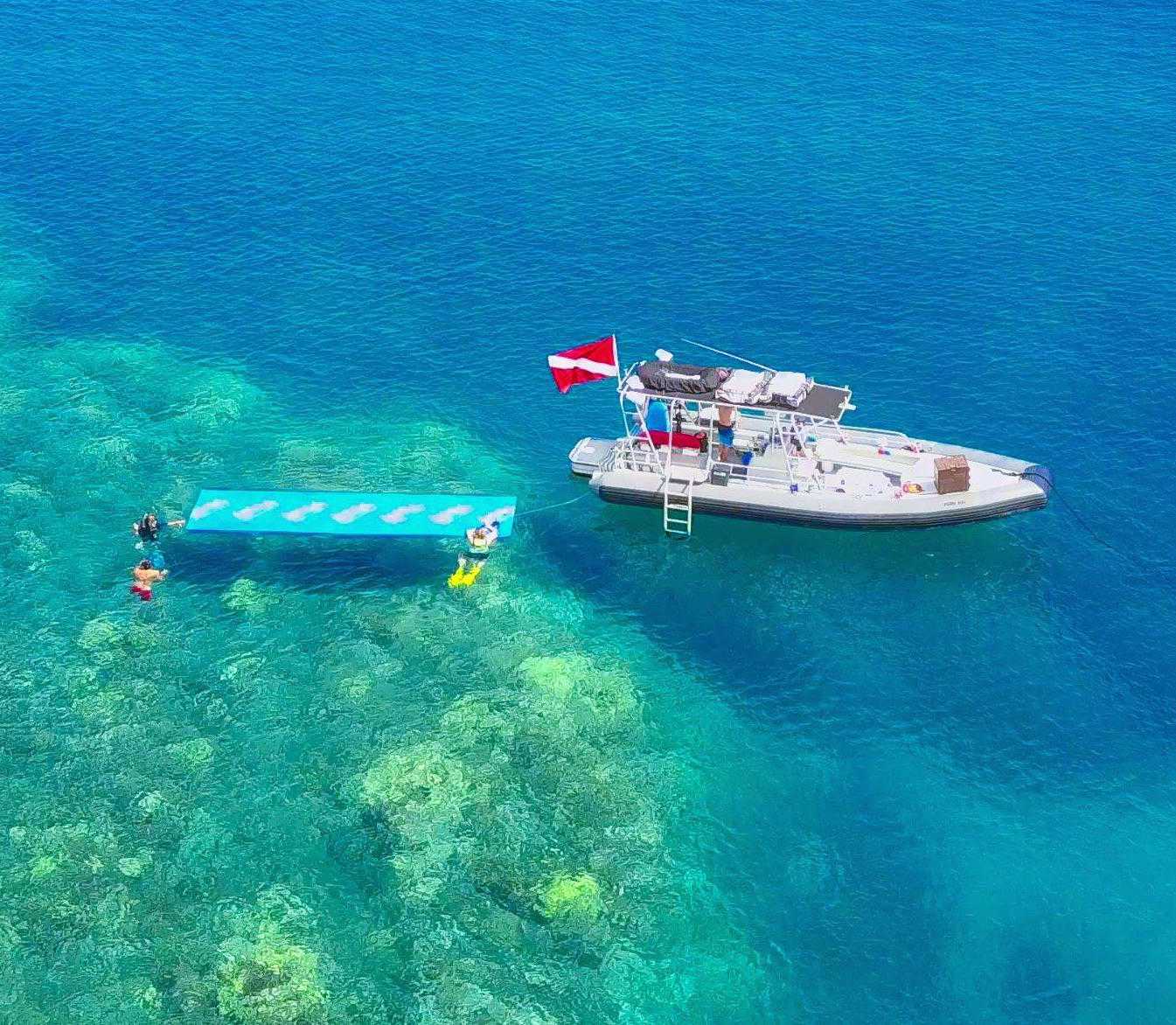 Product Private Small Group Charter With Scuba
