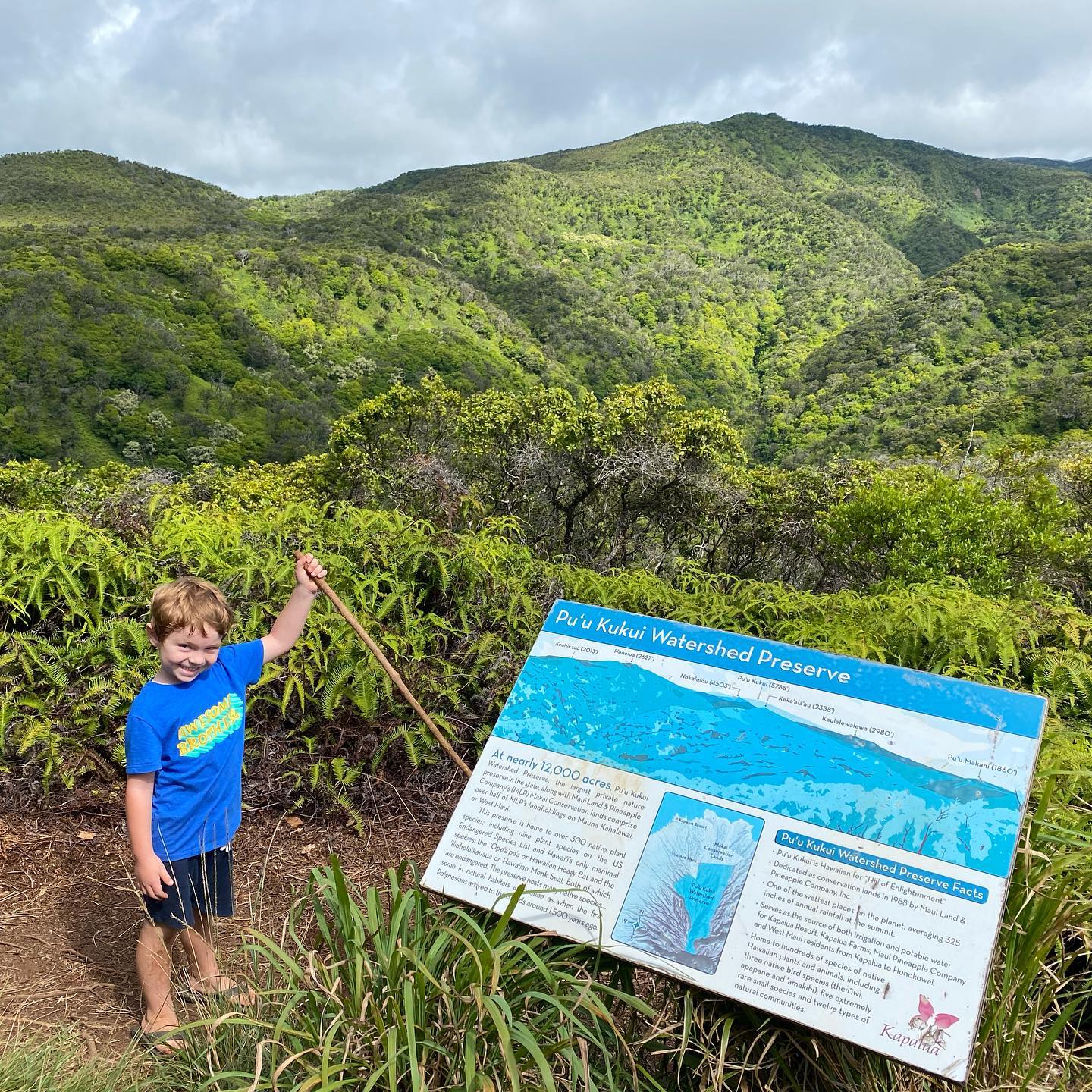 Product Honolua Ridgeline Hike