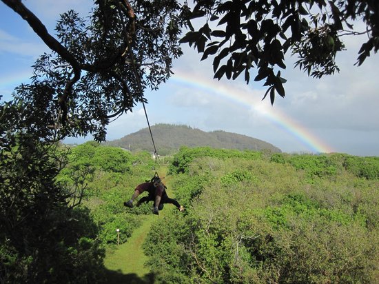 Product North Shore Zipline